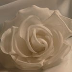 Silk flowers