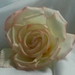 Silk flowers detail