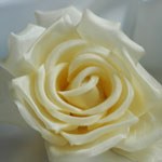 Silk flowers detail