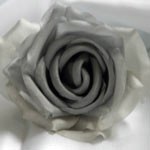 Silk flowers detail