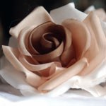 Silk flowers detail