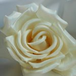 Silk flowers detail